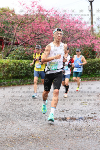 2026左岸竹東櫻花馬拉松Zhudong Sakura Marathon