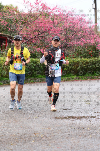 2026左岸竹東櫻花馬拉松Zhudong Sakura Marathon