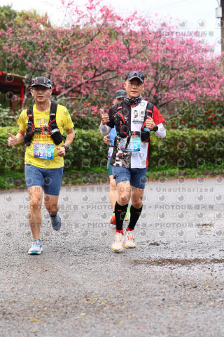 2026左岸竹東櫻花馬拉松Zhudong Sakura Marathon