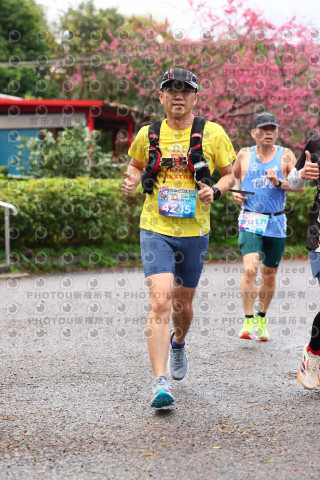 2026左岸竹東櫻花馬拉松Zhudong Sakura Marathon