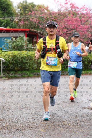 2026左岸竹東櫻花馬拉松Zhudong Sakura Marathon