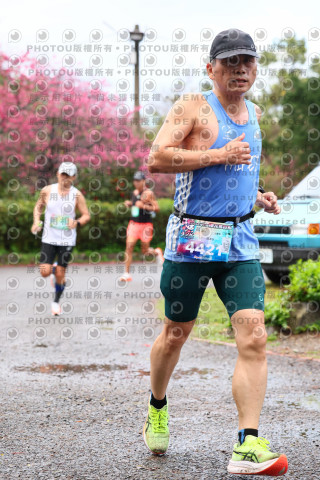 2026左岸竹東櫻花馬拉松Zhudong Sakura Marathon