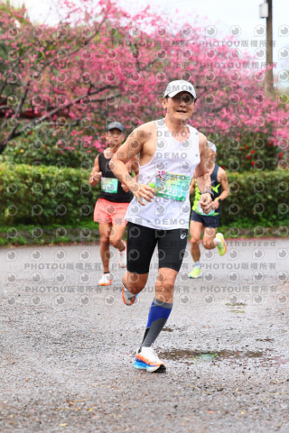 2026左岸竹東櫻花馬拉松Zhudong Sakura Marathon