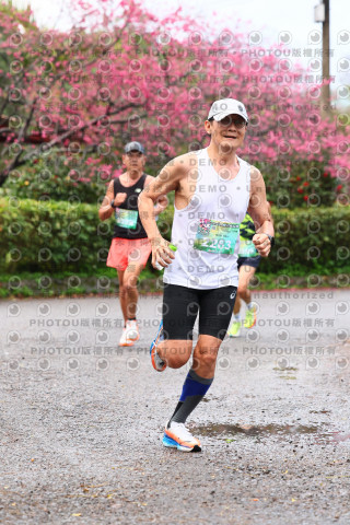 2026左岸竹東櫻花馬拉松Zhudong Sakura Marathon