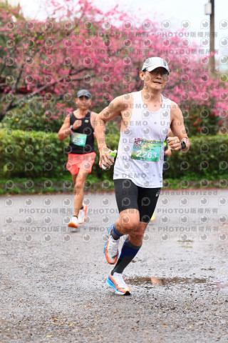 2026左岸竹東櫻花馬拉松Zhudong Sakura Marathon