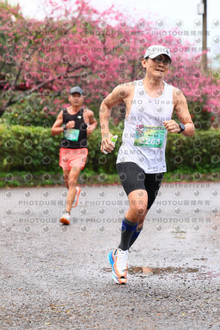 2026左岸竹東櫻花馬拉松Zhudong Sakura Marathon