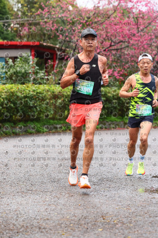 2026左岸竹東櫻花馬拉松Zhudong Sakura Marathon
