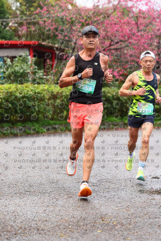 2026左岸竹東櫻花馬拉松Zhudong Sakura Marathon
