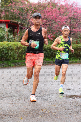 2026左岸竹東櫻花馬拉松Zhudong Sakura Marathon