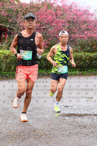 2026左岸竹東櫻花馬拉松Zhudong Sakura Marathon