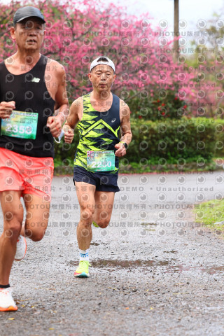 2026左岸竹東櫻花馬拉松Zhudong Sakura Marathon