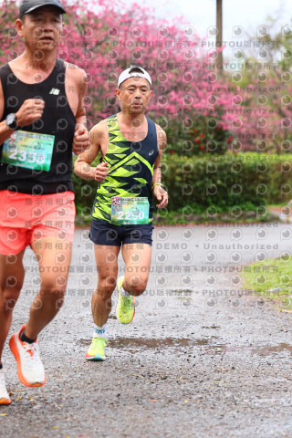 2026左岸竹東櫻花馬拉松Zhudong Sakura Marathon