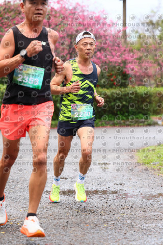 2026左岸竹東櫻花馬拉松Zhudong Sakura Marathon