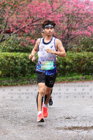 2026左岸竹東櫻花馬拉松Zhudong Sakura Marathon