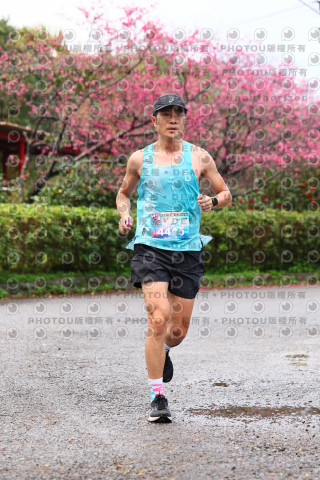 2026左岸竹東櫻花馬拉松Zhudong Sakura Marathon