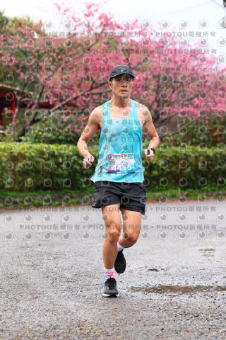 2026左岸竹東櫻花馬拉松Zhudong Sakura Marathon