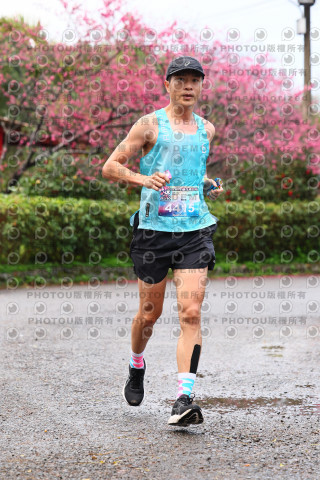 2026左岸竹東櫻花馬拉松Zhudong Sakura Marathon
