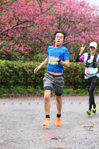 2026左岸竹東櫻花馬拉松Zhudong Sakura Marathon