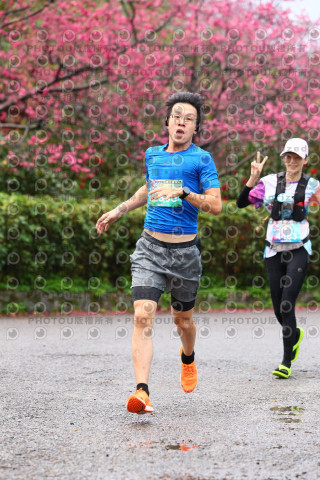 2026左岸竹東櫻花馬拉松Zhudong Sakura Marathon