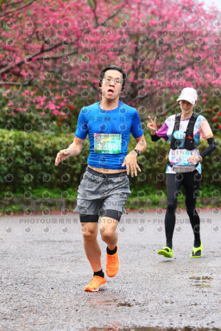 2026左岸竹東櫻花馬拉松Zhudong Sakura Marathon
