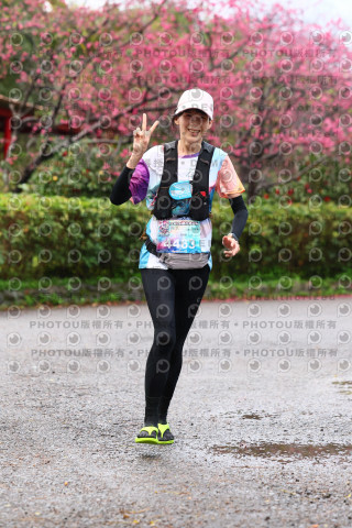 2026左岸竹東櫻花馬拉松Zhudong Sakura Marathon