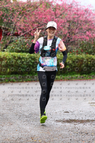 2026左岸竹東櫻花馬拉松Zhudong Sakura Marathon