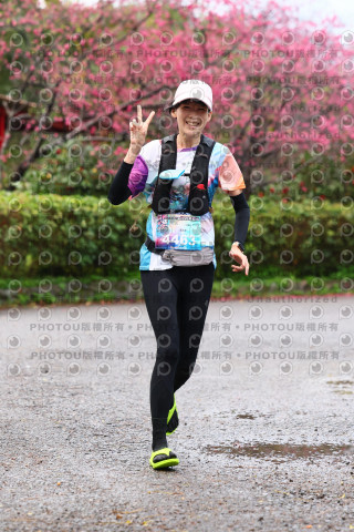 2026左岸竹東櫻花馬拉松Zhudong Sakura Marathon