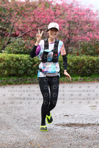 2026左岸竹東櫻花馬拉松Zhudong Sakura Marathon