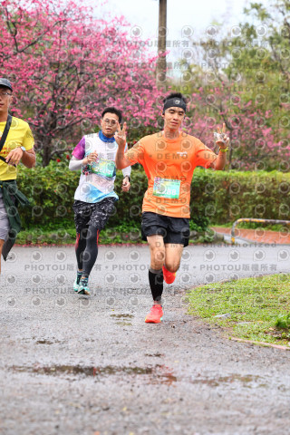 2026左岸竹東櫻花馬拉松Zhudong Sakura Marathon