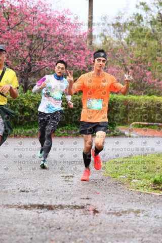 2026左岸竹東櫻花馬拉松Zhudong Sakura Marathon