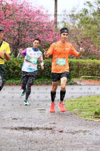 2026左岸竹東櫻花馬拉松Zhudong Sakura Marathon