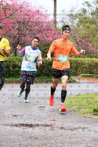 2026左岸竹東櫻花馬拉松Zhudong Sakura Marathon