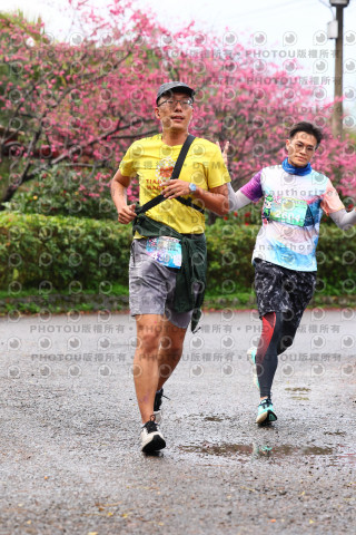 2026左岸竹東櫻花馬拉松Zhudong Sakura Marathon