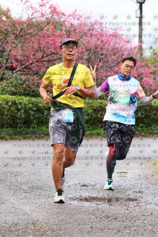 2026左岸竹東櫻花馬拉松Zhudong Sakura Marathon