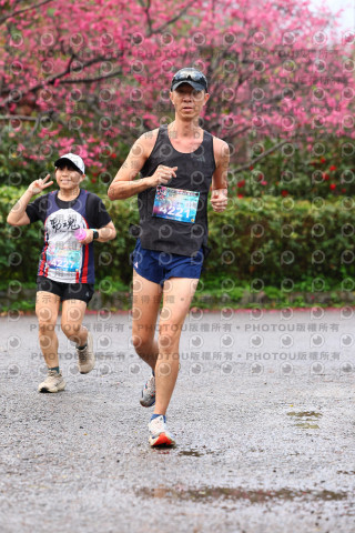 2026左岸竹東櫻花馬拉松Zhudong Sakura Marathon