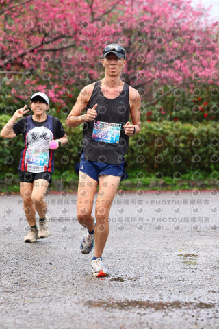 2026左岸竹東櫻花馬拉松Zhudong Sakura Marathon