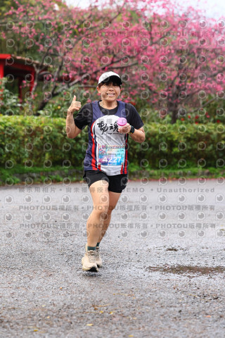 2026左岸竹東櫻花馬拉松Zhudong Sakura Marathon