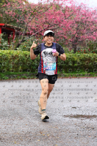 2026左岸竹東櫻花馬拉松Zhudong Sakura Marathon