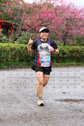 2026左岸竹東櫻花馬拉松Zhudong Sakura Marathon