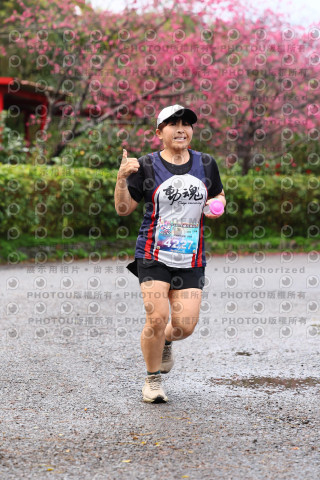 2026左岸竹東櫻花馬拉松Zhudong Sakura Marathon