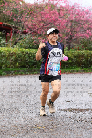 2026左岸竹東櫻花馬拉松Zhudong Sakura Marathon