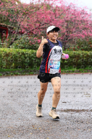 2026左岸竹東櫻花馬拉松Zhudong Sakura Marathon