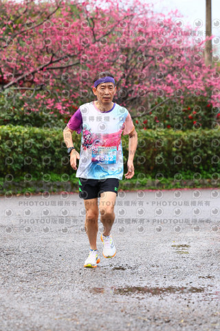 2026左岸竹東櫻花馬拉松Zhudong Sakura Marathon