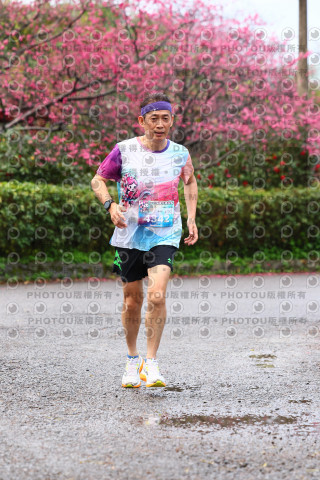 2026左岸竹東櫻花馬拉松Zhudong Sakura Marathon