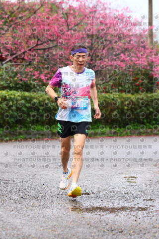 2026左岸竹東櫻花馬拉松Zhudong Sakura Marathon