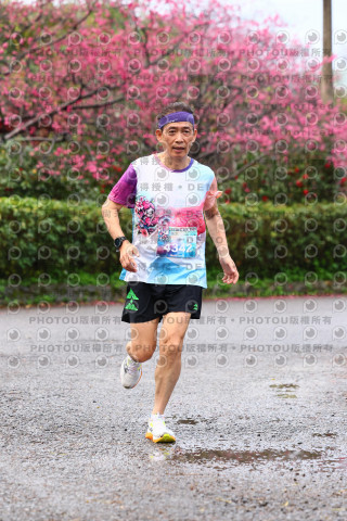 2026左岸竹東櫻花馬拉松Zhudong Sakura Marathon