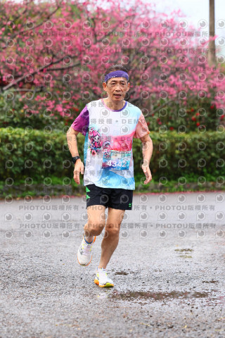 2026左岸竹東櫻花馬拉松Zhudong Sakura Marathon