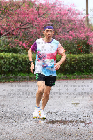 2026左岸竹東櫻花馬拉松Zhudong Sakura Marathon