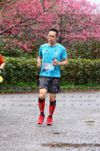 2026左岸竹東櫻花馬拉松Zhudong Sakura Marathon