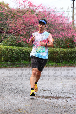 2026左岸竹東櫻花馬拉松Zhudong Sakura Marathon